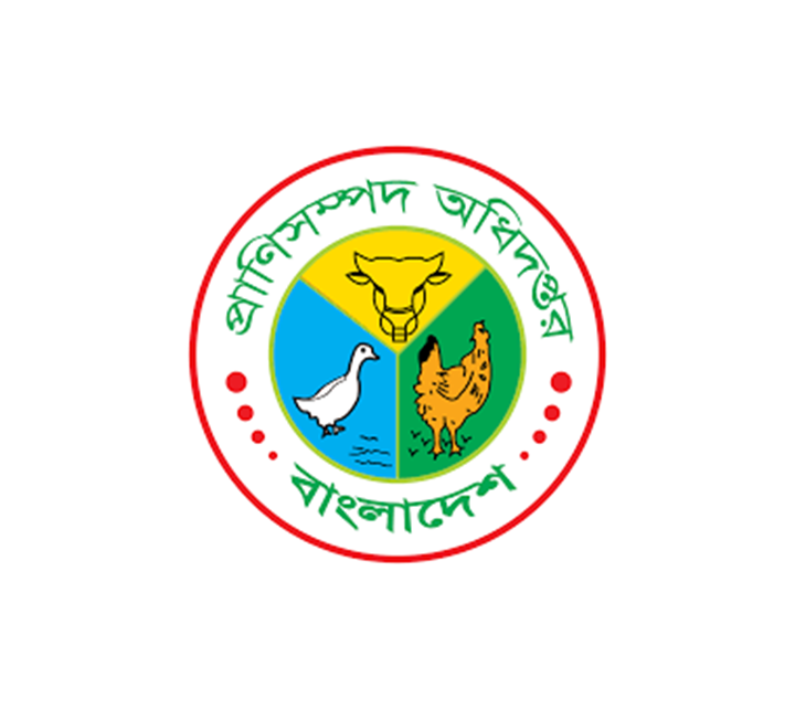 DLSL